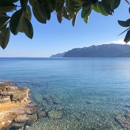 The Island House - Family Size Apt - Overlooking The Aegean - 3 Steps From The Beach Mochlos Luaran gambar